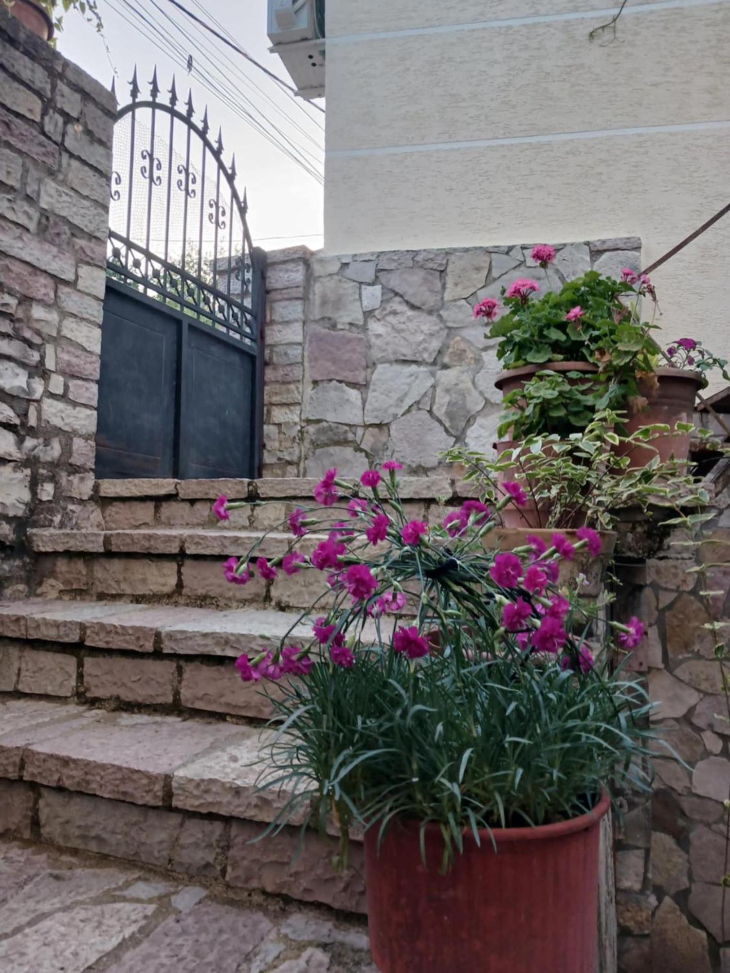 Eniguesthouse Αργυρόκαστρο Εξωτερικό φωτογραφία